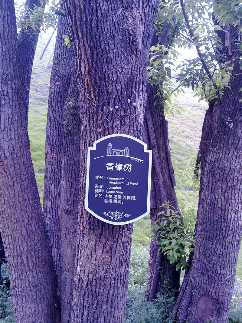 树铭牌
