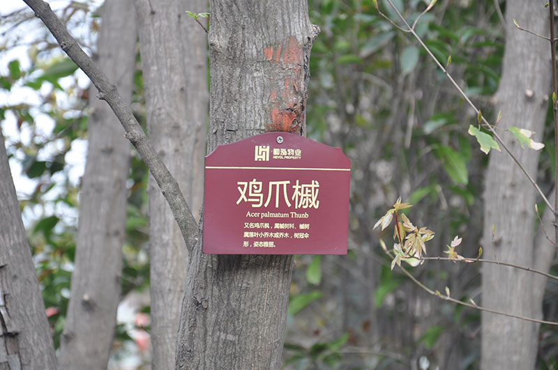 树铭牌
